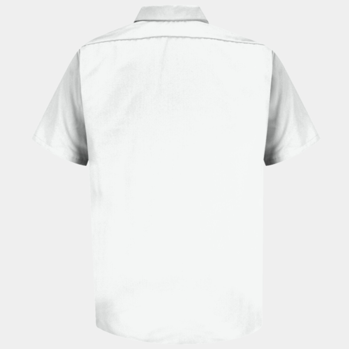 Back